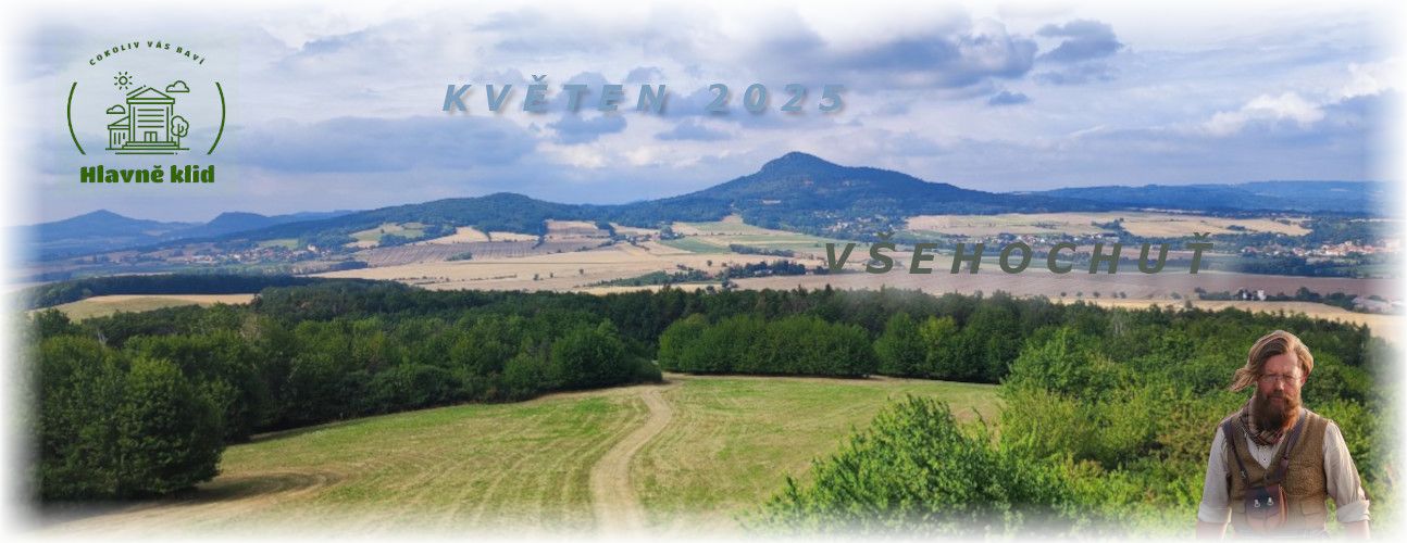 VŠEHOCHUŤ
