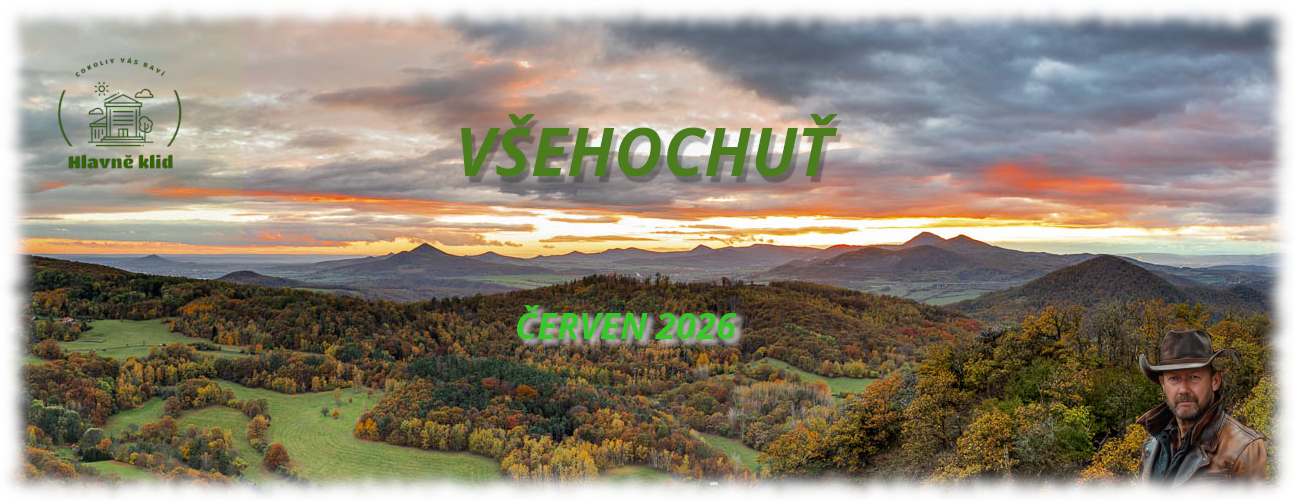 VŠEHOCHUŤ