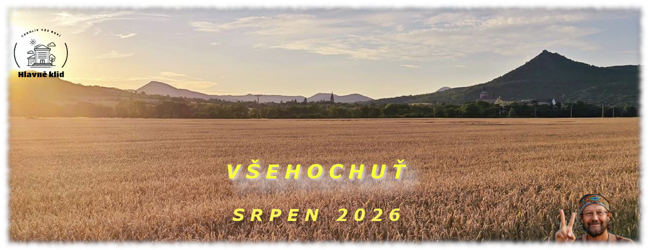 VŠEHOCHUŤ