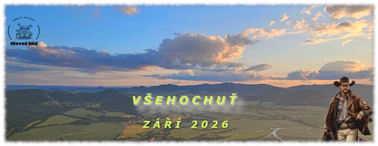 VŠEHOCHUŤ